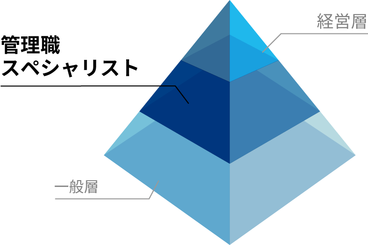 経営層 管理職スペシャリスト 一般層