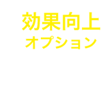 効果向上オプション
